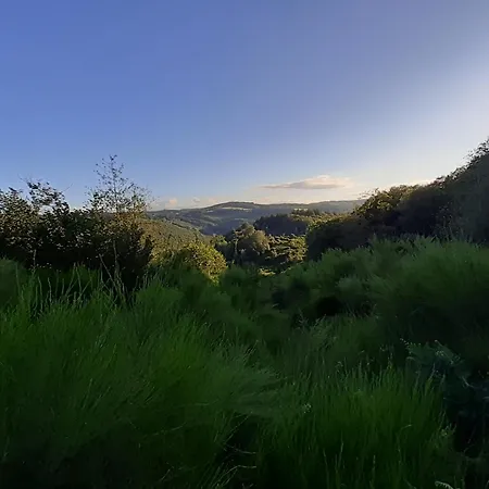 דירה Gite Du Mas Jourdane, Angles (Midi-Pyrenees)